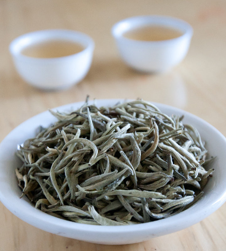 Silver Needle White Tea: Ultimate Health Benefits & Brewing Tips