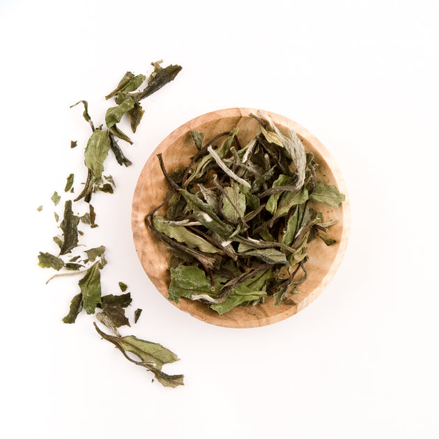 White Tea – The Boulder Tea Company